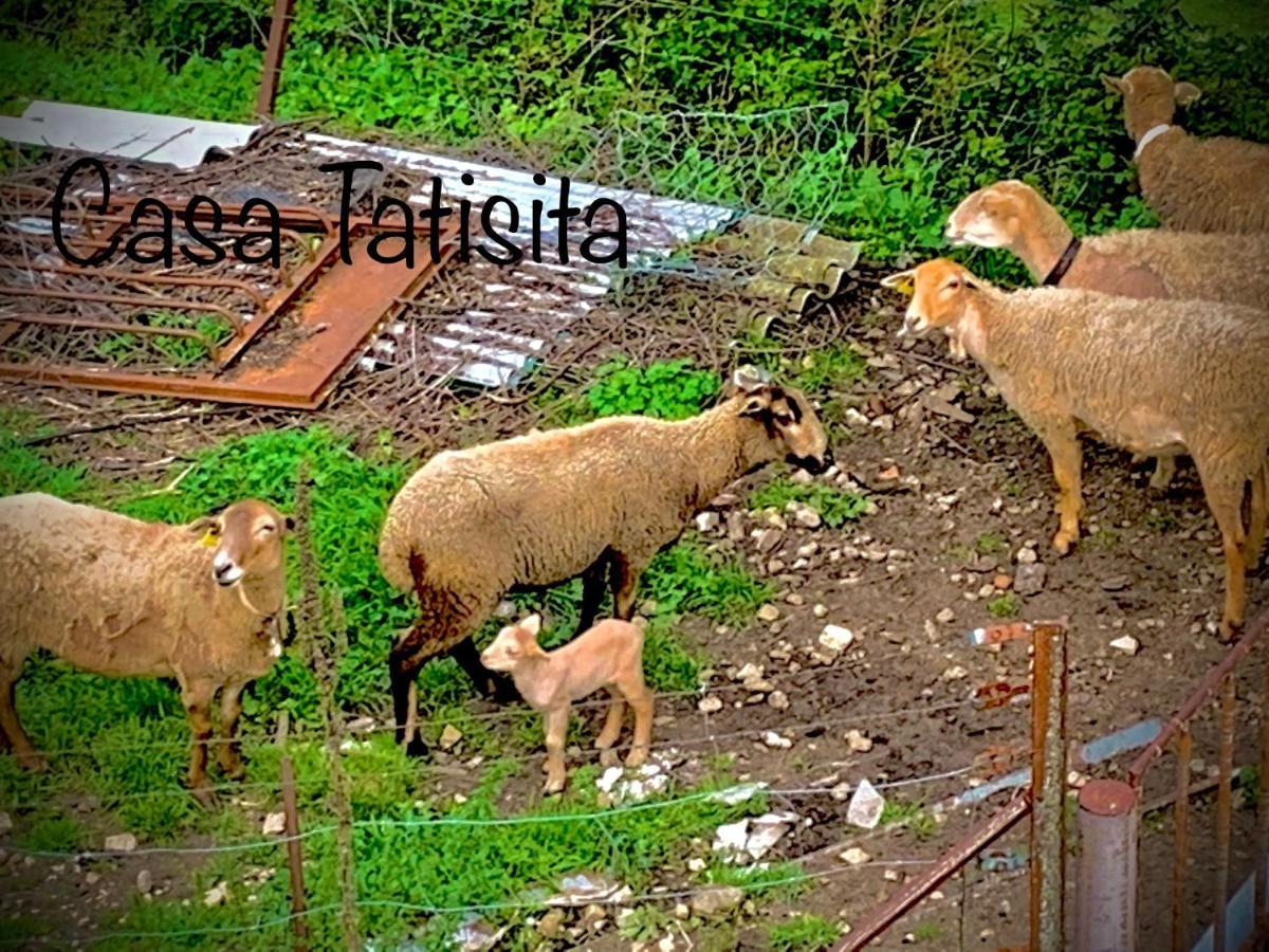 סגורה דה לה סיירה Casa Tatisita Luna מראה חיצוני תמונה